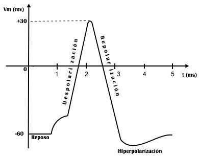 fig1