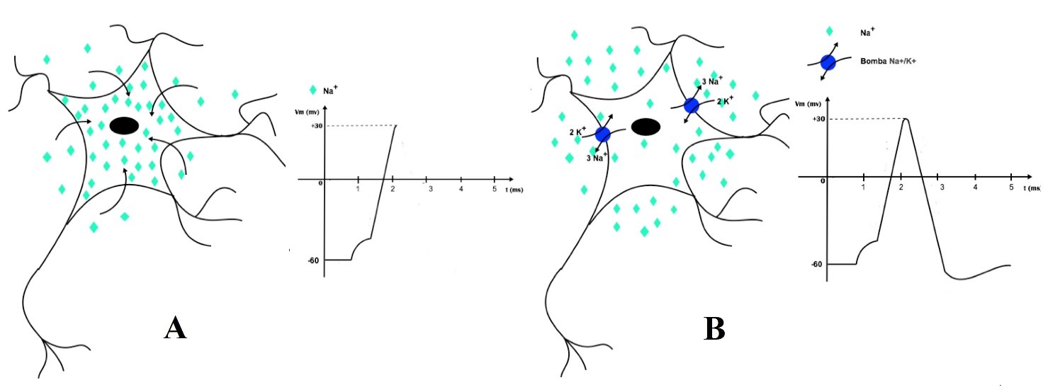 fig1